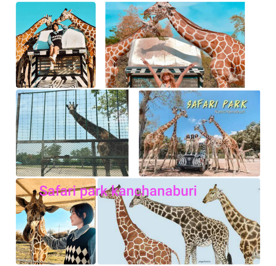 SAFARI PARK KANCHANABURI