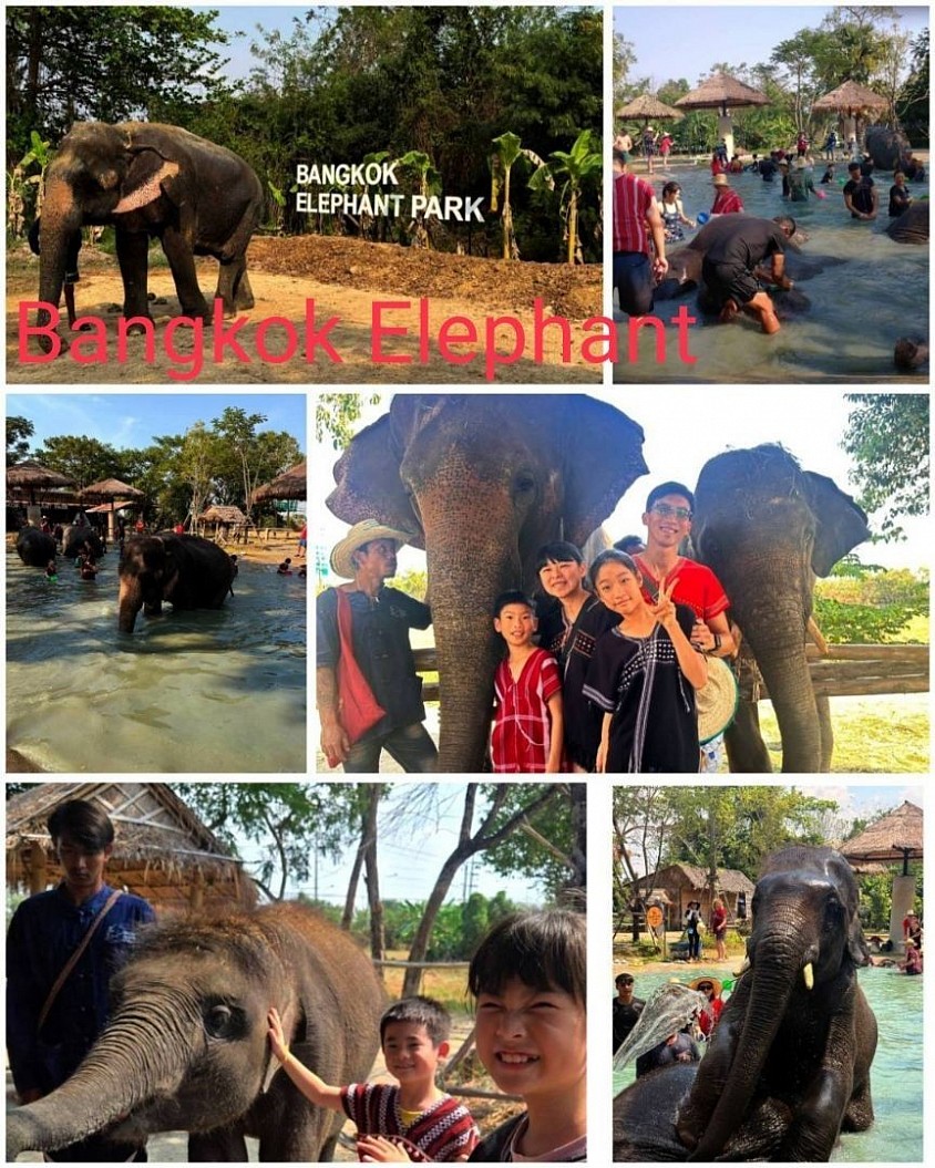 Bangkok Elephant